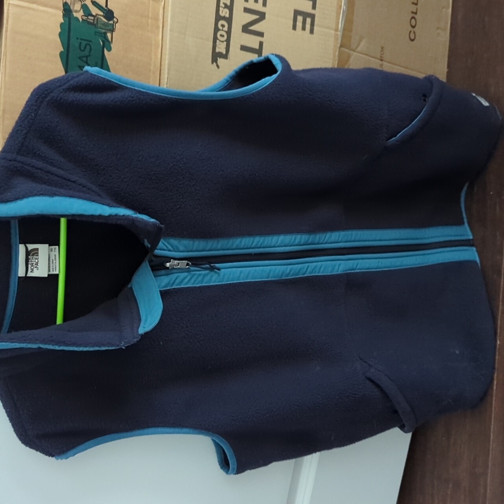 North face mens vest